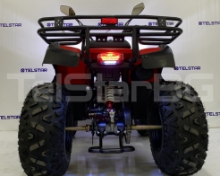 ATV TS-220 220cc SPORT висок клас окачване с големи гуми и усилена рама снимка 117