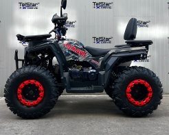 ATV TELSTAR TS-250 ARMOUR с лебедка и всички екстри Нов модел 2026 снимка 187