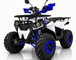 ATV TELSTAR DAZZLE LONG 150сс дълга база с 8'' гуми, автоматична скоростна кутия снимка 136