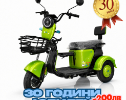 Електрическа триколка 2+1 750.2 Тип VESPA STYLE с диференциал Нов модел снимка 130